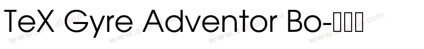 TeX Gyre Adventor Bo字体转换